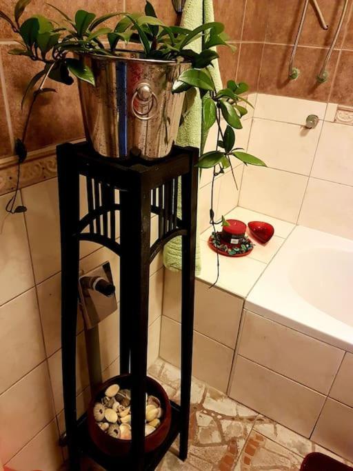 Zelena Oaza Apartment Skrljevo Ngoại thất bức ảnh